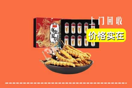 临清市回收冬虫夏草